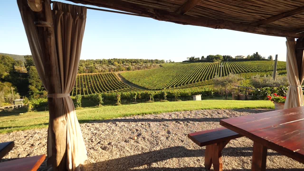 Wineries in Italy Tuscany in Slow motion Italy