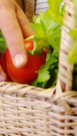 hombre poniendo tomates en la canasta