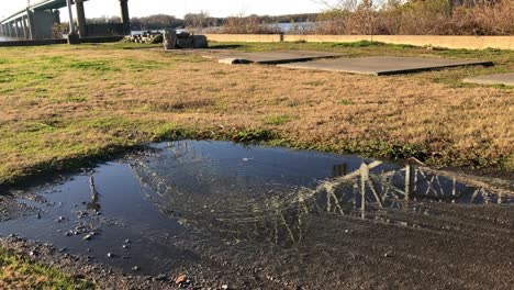 memphis bridge reflection in puddle