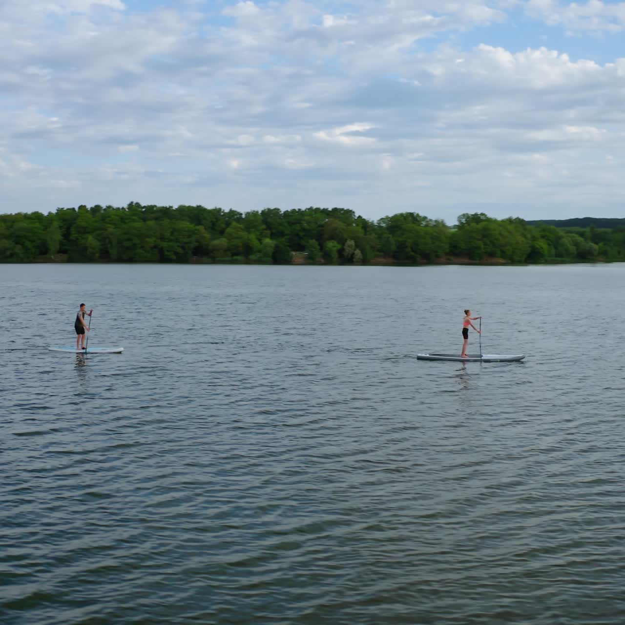 Young people doing water sport in the evening. Active friends swimming along a river standing on a boat with oars. Healthy lifestyle. View from above