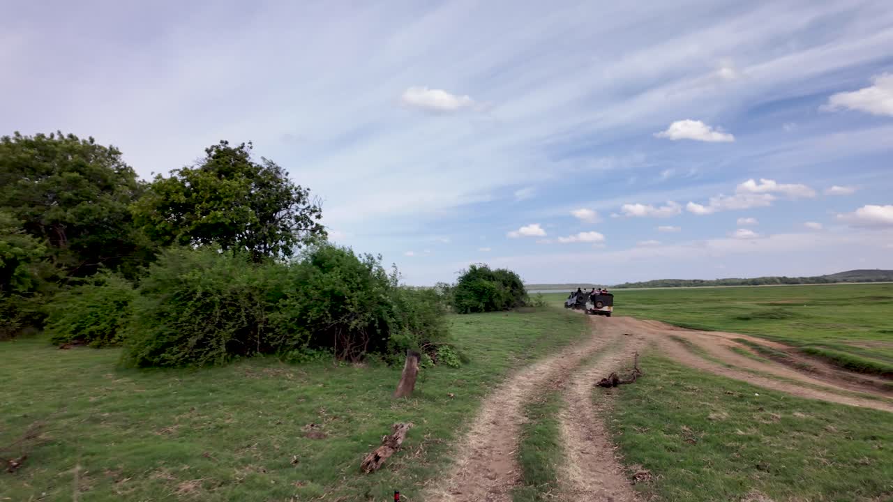 Jeep safari through the lush landscapes of Kaudulla National Park, Sri Lanka, showcasing open skies and vibrant greenery.