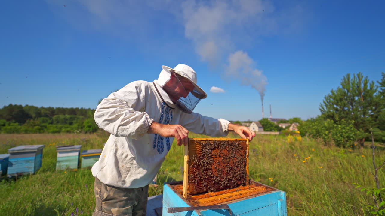 Beekeeper near the hives in nature. Apiculturist in protective hat working on apiary in rural place. Apiary on the background of industrial pipes with smoke.