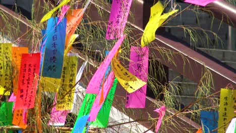 close-up, people bunding wishes on paper to a tree in zozo-ji temple