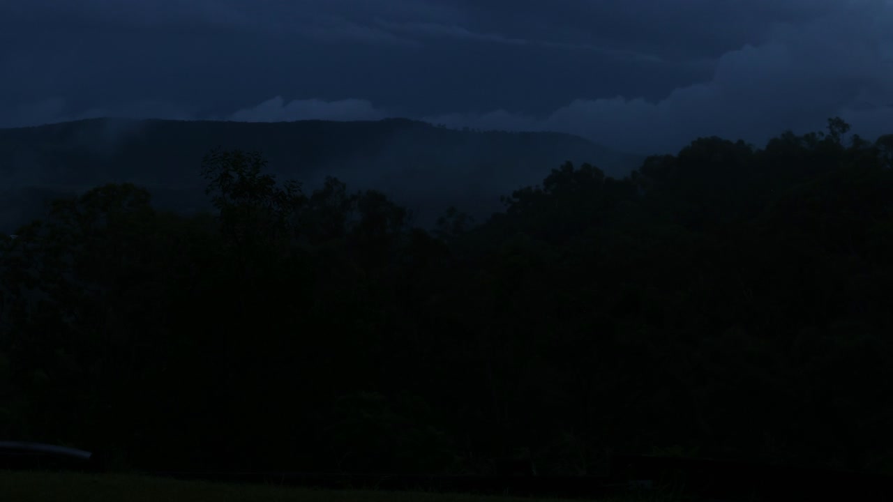안개가 가득한 언덕과 나무들이 역동적인 풍경 속에 있습니다.