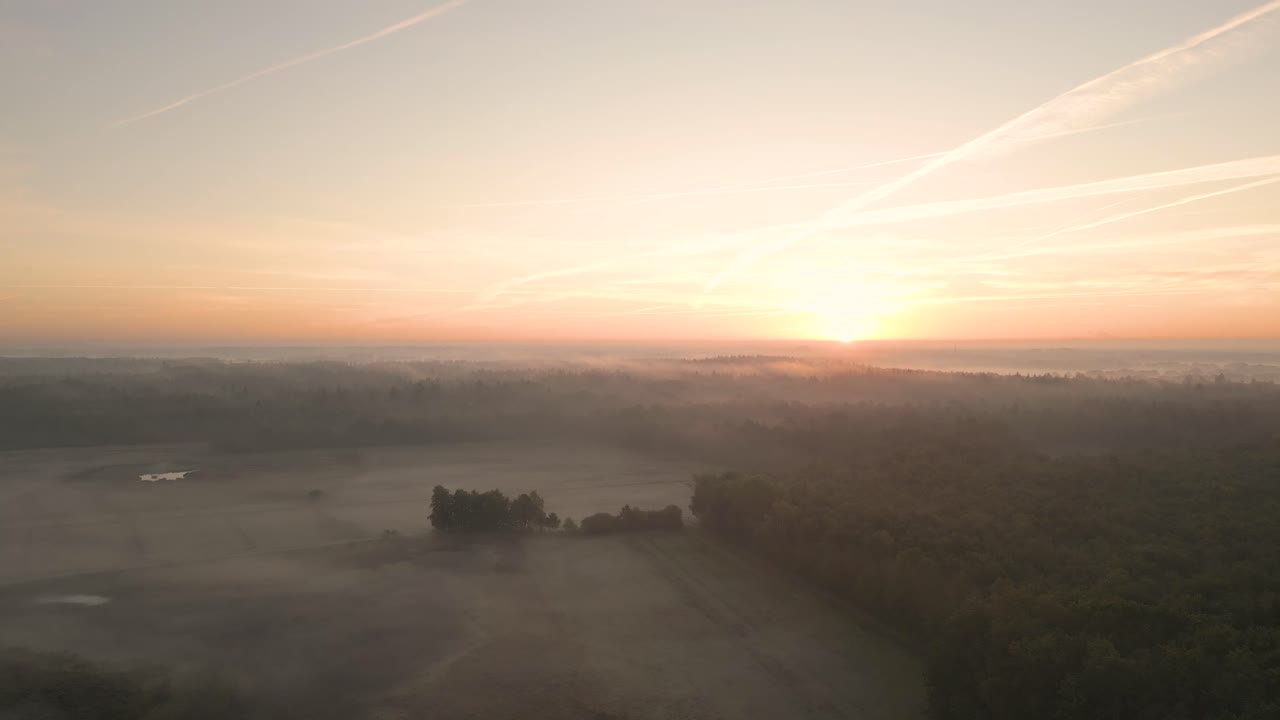 amanecer brumoso sobre el bosque y los campos