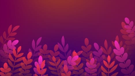 hojas de verano y plantas animación de bucle de marco. fondo animado con espacio de copia para el texto. diseño de borde de patrón floral. telón de fondo para banner, presentación, papel tapiz, salvapantallas. color rosa brillante