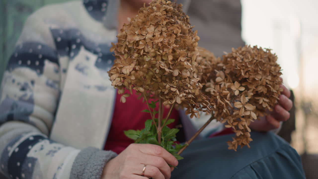 Donna che culla un bouquet di ortensie essiccate vicino al grembo. Maniche di maglione a maglia, luce serale e bokeh soffuso, umore sereno, artigiana che prepara una composizione fatta a mano, petali sbiaditi e texture terrosa, nostalgico