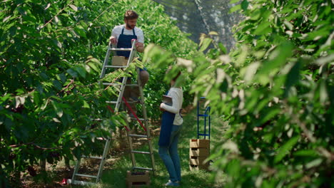 dos agricultores monitorean juntos el nivel de producción en la granja orgánica discutiendo