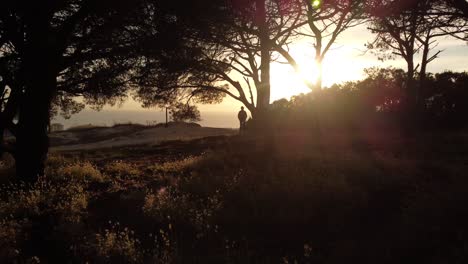 Luftflug-Zwischen-Wald-Und-Person,-Die-Den-Wunderschönen-Goldenen-Sonnenuntergang-Am-Horizont-Genießt