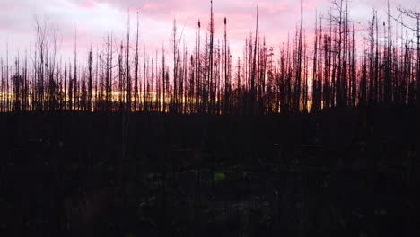 Puesta-De-Sol-En-El-Paisaje-Forestal-Después-De-Un-Incendio-Forestal,-Quebec,-Canadá,-Disparo-De-Drone