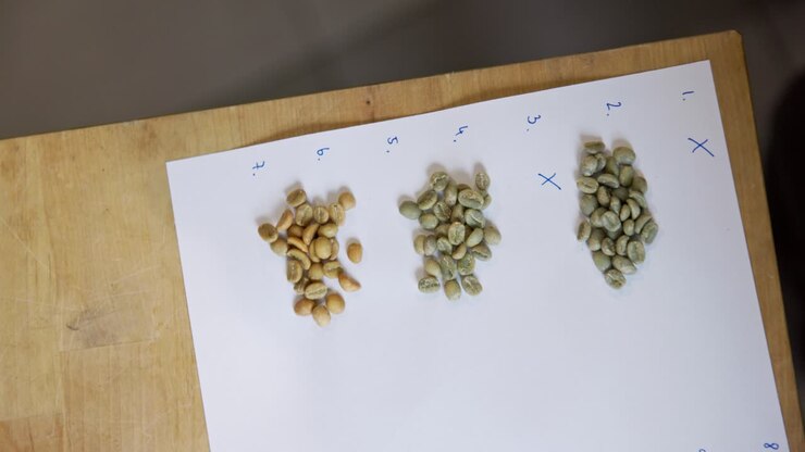 Grãos de café marrons claros dispostos em pilhas sobre papel com números listados de um a dez.