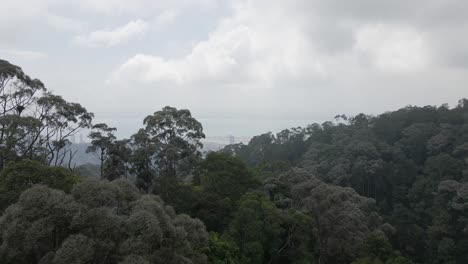 Mountain-tree-canopy-flyover-reveals-foggy-George-Town-Malaysia-below