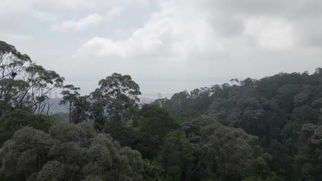 Die-Überführung-Der-Baumkronen-Der-Berge-Zeigt-Unten-Das-Neblige-George-Town-Malaysia