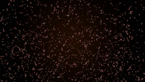 4k loop falling coffee beans on dark background tasty coffe brew food and drink concept natural