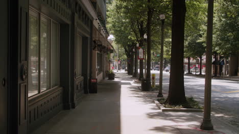 city street scene with shops and trees