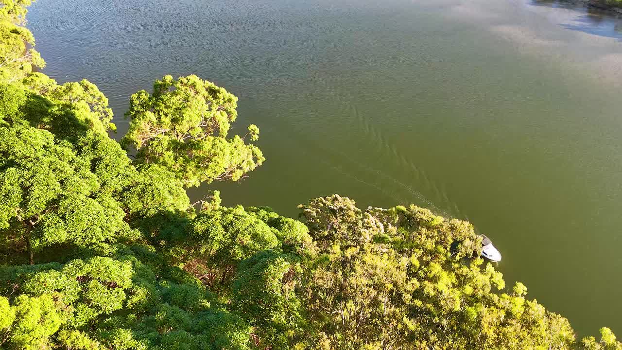 보트 가 울창 한 초록색 강 을 따라 이동 한다