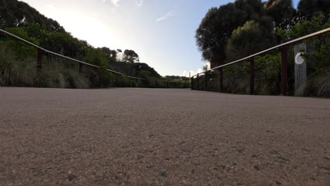 ground-level view of a walking path