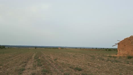 en el campo, un viejo cobertizo en ruinas se sienta solo junto a un árbol en descomposición.