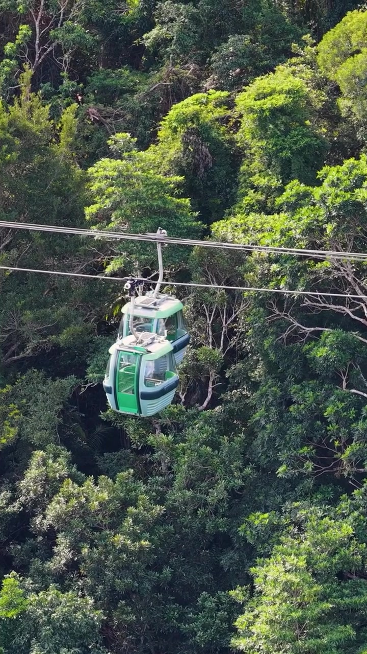 Una gondola verde attraversa la fitta chioma di una foresta tropicale in una composizione verticale