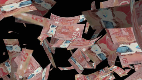 canadian 50 dollar bills falling animation