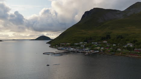 Salmon-fishing-rings-off-coast-of-Torsken-Norway-at-sunset,-aerial-establishing-pullback