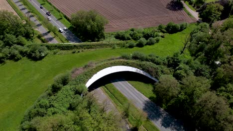 rotating aerial movement showing traffic passing underneath wildlife crossing natural corridor bridge for animals to migrate between conservancy areas