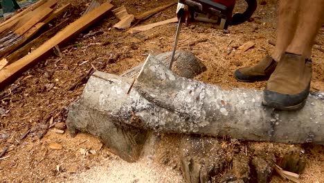 mid shot of chain saw blade cutting wood for firewood