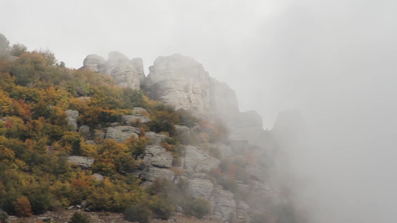 가을의 안개가 가득한 산꼭대기