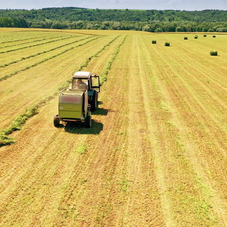 back view of a tractor collecting hay on the field. agricultural tractor is gathering dry grass in the countryside in summer.
