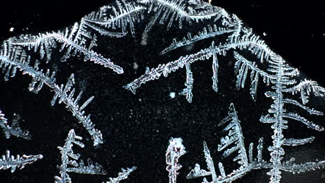 close-up of intricate ice crystal patterns on a dark surface