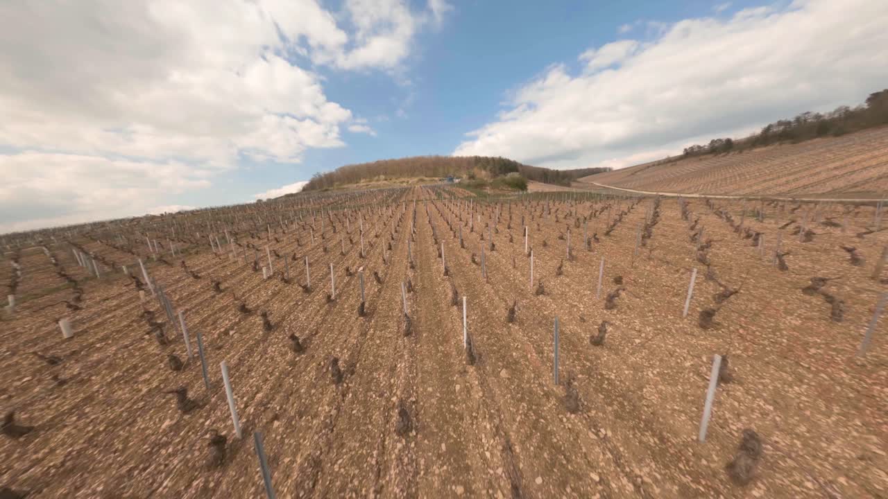 vista aérea fpv de baja altitud sobre un viñedo y un pulverizador de tractor en chablis, francia
