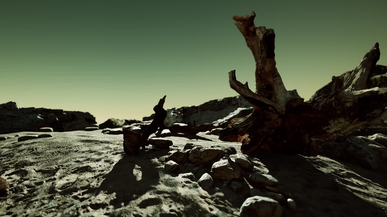 마요르카의 해변 해안에 있는 목재의 시간 경과