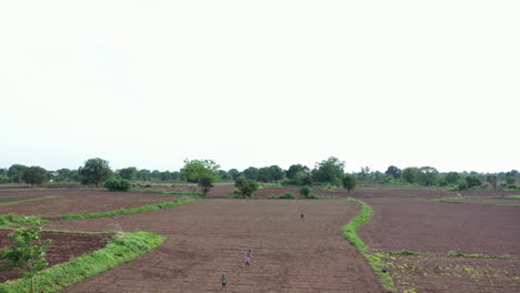 field with people