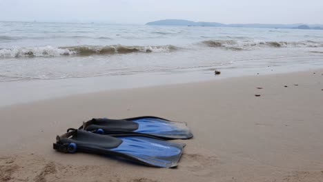 flippers resting on sandy beach in krabi