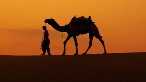 Kameltreiber,-Kameltreiber-Bei-Sonnenuntergang.-Thar-Wüste-Bei-Sonnenuntergang-Jaisalmer,-Rajasthan,-Indien.