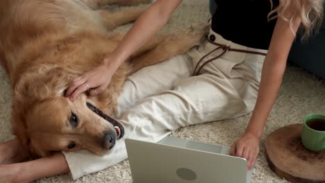 caucasian blonde woman sitting on carpet with dog labrador.