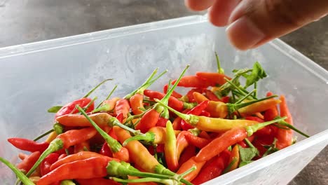 Primer-Plano-De-La-Mano-Recogiendo-Chiles