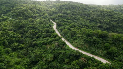 Aerial---Road-winding-through-deep-lush-forest-near-mountain-range