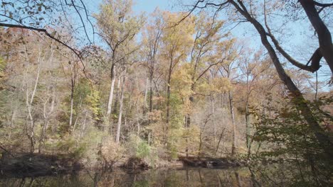 Bäume-Entlang-Des-Wissahickon-Creek-Im-Herbst