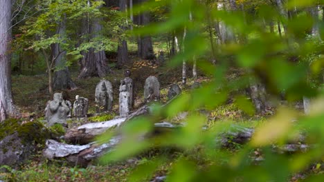 revelación cinematográfica de estatuas de piedra japonesas en un bosque exuberante - cámara lenta