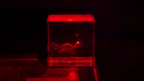 gravatura in vetro 3d con macchina di marcatura laser.