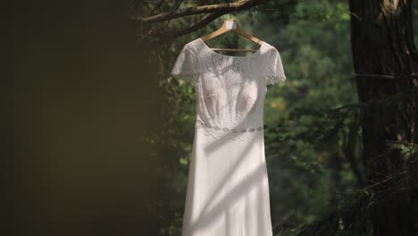 Revealing-shot-of-a-white-wedding-dress---a-veil-hanging-on-a-tree---White-wedding-bride-veil---Zoom-in-shot