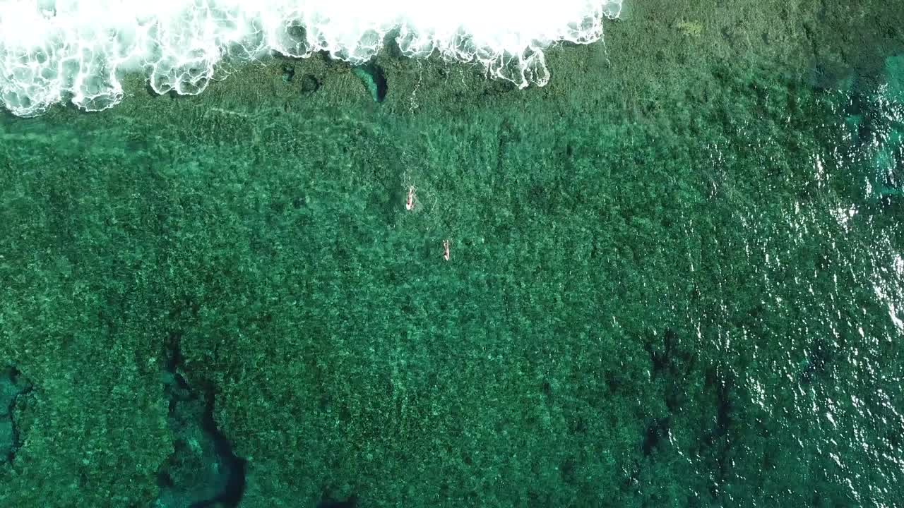 Bird's eye Shot of Surfers Paddling out in Siargao Island