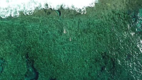 una foto de pájaro de surfistas remando en la isla de siargao