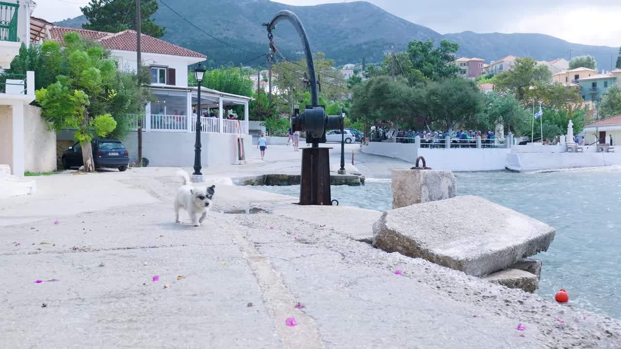 Dog walking near the seafront cafe in a small greek town