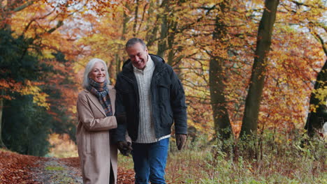 Liebevolles-älteres-Ehepaar-Im-Ruhestand,-Das-Hand-In-Hand-Den-Weg-In-Der-Herbstlichen-Landschaft-Entlang-Geht