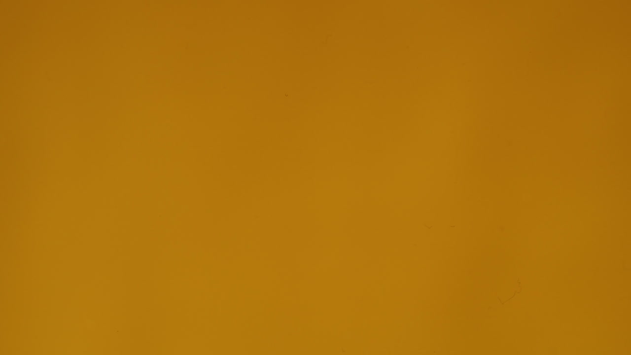 Lemon Slices in Sparkling Water