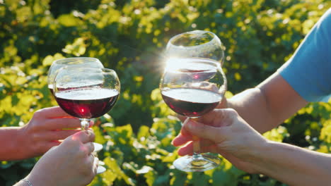 a group of friends clink glasses with red wine on the background of the vineyard wine tour and touri