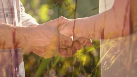 couple holding hands in a field