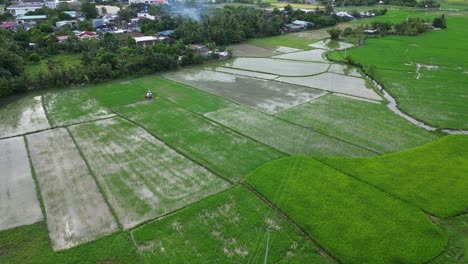 Vista-Aérea-Orbital-De-Campos-Agrícolas-Con-Arrozales-En-Catanduanes,-Bicol,-Filipinas.